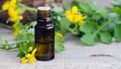 Célandine juice for the treatment of nail mushrooms