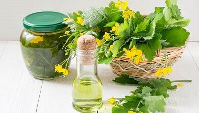 Decoction of celandin for the treatment of nail fungi